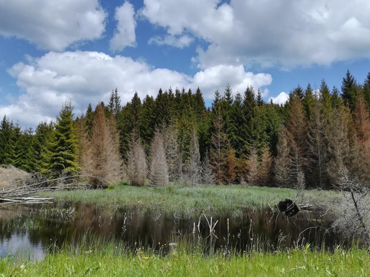 Chalupa Pasečná Villa Přední Výtoň Esterno foto