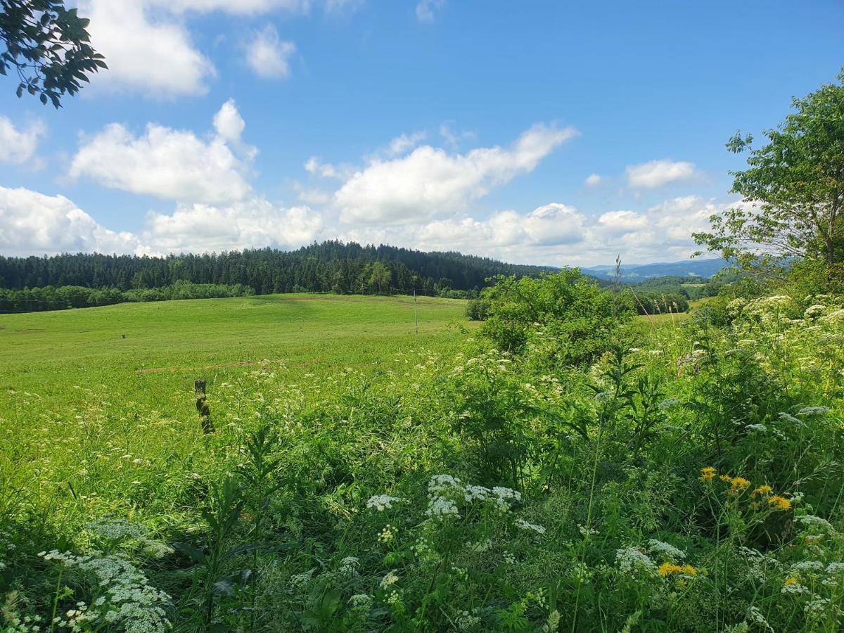 Chalupa Pasečná Villa Přední Výtoň Esterno foto