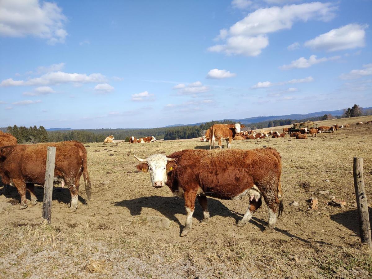 Chalupa Pasečná Villa Přední Výtoň Esterno foto